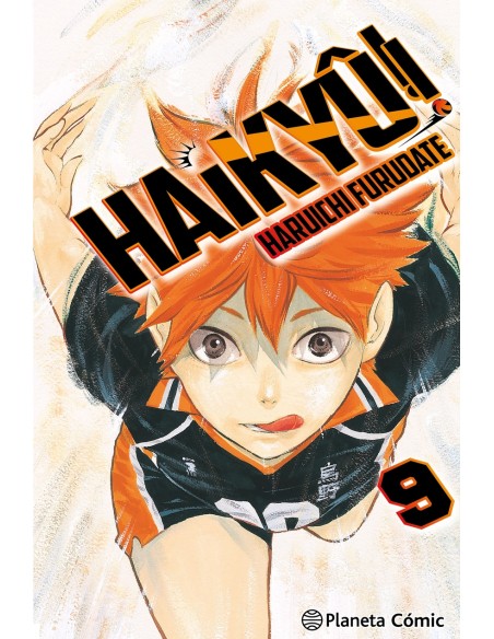 Haiky nº 09